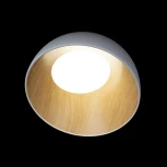 Потолочный светильник круглый Loft It Egg 10197/350 White (LED, 220V, круглые)
