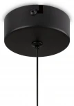Подвесной светильник Freya Ida FR6133PL-L4SM (LED, 220V, на проводе, круглые)