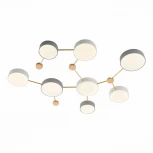 Потолочная люстра Evoluce Dossena SLE600102-08 (LED, 220V)