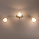 Спот на штанге Citilux Прованс CL511534 (220V)