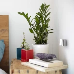 Выключатель двухклавишный Gallant (белый) Werkel W5020001 (a051592)