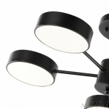 Потолочная люстра на штанге Arte Milano Ferrara 250906/5B Bk (LED, 220V, круглые)