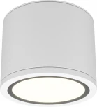 Накладной потолочный светильник Maytoni Rendo C095CL-GX53-W (220V, круглые, IP44)