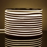 Светодиодная лента Elektrostandard LS 001 220V 9,6 IP67 Гибкий неон 9,6W 120Led 2835 односторонний дневной белый, 50 м