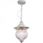 Уличный светильник подвесной Feron Флер 41169 (220V, на цепи, круглые, IP44)