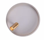 Потолочный светильник круглый со спотом Zortes Raizy ZRS.1888.04 (LED, 220V, круглые)