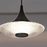 Подвесной светильник Favourite Wilet 4656-1P (LED, 220V, на проводе, круглые)