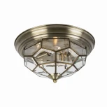 Потолочный светильник круглый Citilux Витра-1 CL442530 (220V)