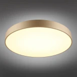 Потолочный светильник Virzhini APL.023.07.68