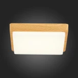 Потолочный светильник Evoluce Taddio SLE200202-01