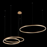 Подвесной светильник Loft IT Ring 10017/3L (LED, 220V, на тросе, кольцо)