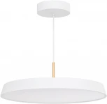 Подвесной светильник Arlight ELEGANT 033925