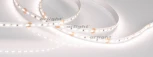 Светодиодная лента Arlight MICROLED-5000 024507