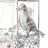 Бра Arte Lamp Cincia A5090AP-1WG (220V, птички)