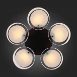 Потолочная люстра ST Luce Foresta SL483.402.05