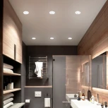 Светильник встраиваемый Feron DL362 LUNA 48813 MR16 G5.3 белый (12V, круглые)