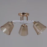 Потолочная люстра на штанге Reluce 06003-0.3-03 FG+WT