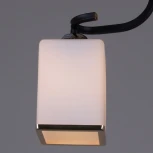 Потолочная люстра Reluce 32303-0.3-02