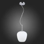 Подвесной светильник ST Luce Cesare SL1168.103.01