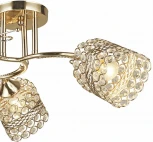 Потолочная люстра на штанге Reluce 04481-0.3-03 FGD (220V)