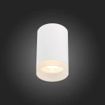 Точечный светильник ST Luce St100 ST100.502.01 (220V, круглые)