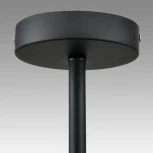 Потолочная люстра на штанге Lumion Camilie 8060/6C черный/дымчатый металл/стекло E27 6*60W 220V