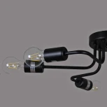 Потолочная люстра Reluce 01736-0.3-06 BK (220V)