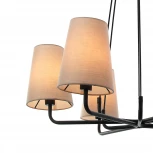 Подвесная люстра Favourite Pfefferling 2364-6P (220V, на проводе)