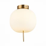 Потолочная люстра ST Luce Lacus SL1621.202.01