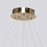 Подвесной светильник DeMarkt Толедо 312015502 (LED, 220V, на тросе)