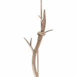 Подвесной светильник Mantra Sabina 6179 (220V, на проводе, ветки)