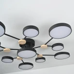 Потолочная люстра с пультом на штанге LED Lu Carte LC-11-1722