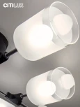 Потолочная люстра на штанге Эрик CL136145 Citilux