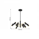 Подвесная люстра Favourite Duplex 2324-12P