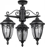 Потолочный светильник уличный Oasis Light FES 86370A 3 02 Bl (220V, фонарь, IP44)