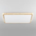 Настенно-потолочный светильник Citilux Бейсик CL738K502V (регулировка яркости, LED, 220V, IP40)