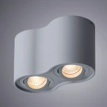 Накладной точечный светильник Arte Lamp Falcon A5645PL-2GY (220V)