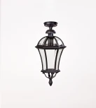 Потолочный светильник уличный Oasis Light ROMA L 95205LA Bl (220V, фонарь, IP44)