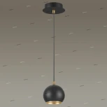 Подвесной светильник Lumion Dondoo 3635/1