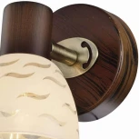 Спот Toplight Shayla TL3730Y-01BB