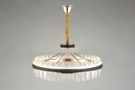 Подвесная люстра Aployt Honori APL.027.03.102 (LED, 220V, на цепи, кольцо)
