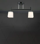 Потолочная люстра Wedo Light Semel WD3640/2C-BK-CR-WT