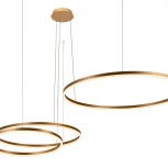 Подвесной светильник Loft IT Ring 10017/3M (LED, 220V, на тросе, кольцо)