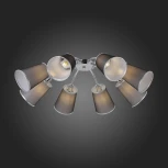 Потолочная люстра Evoluce Maleonte SLE103002-08