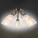 Потолочная люстра Omnilux Casagliana OML-53807-05