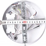 Подвесной светильник светодиодный Natali Kovaltseva Sad Queen INNOVATION STYLE 83129 PETEROLJA с пультом ДУ, моб. приложением 120W, белый, LED