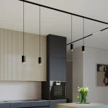 Трековый светильник однофазный Elektrostandard 85021/01 Nubis GU10 черный/золото (220V, круглые)