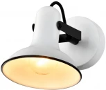 Спот Lussole Fargo LSP-8801 (220V)