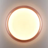 Настенно-потолочный светильник Sonex Portman 7778/ELN пластик/белый/розовый LED 76Вт 3000/4000/6000К (220V, круглые, IP43)