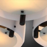 Потолочная люстра ST Luce Foresta SL483.402.09